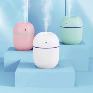 2022 factory wholesale portable cute cool mist personal humidifier mini 220ml car air humidifier