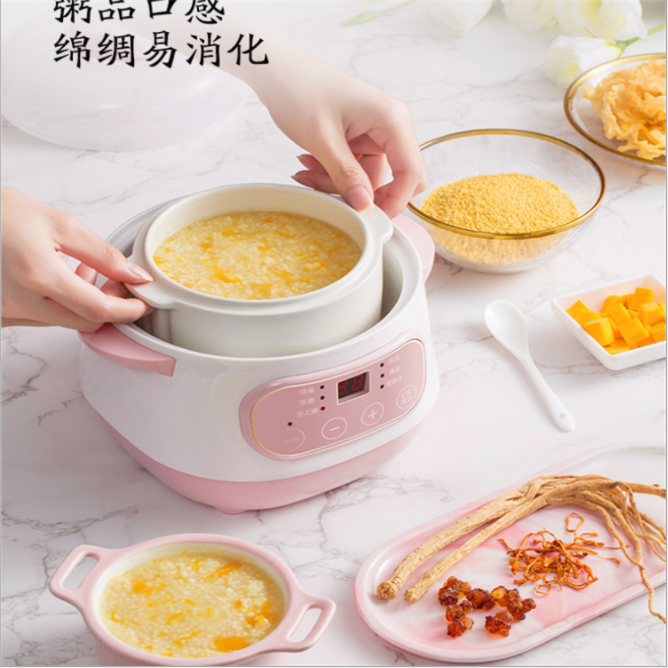 Household small stew pot Bird's Nest electric stewpot appointment timing stewing out of water pot mini electric stew pot ceramic