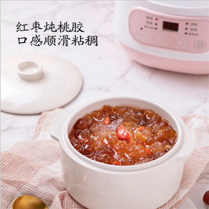 Household small stew pot Bird's Nest electric stewpot appointment timing stewing out of water pot mini electric stew pot ceramic