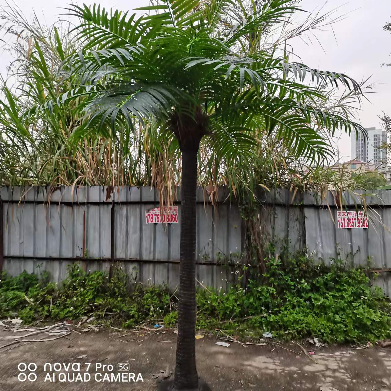 Good Price Artificial Outdoor Palm Tree 3M Coconut Palm Tree Outdoor Artificial Evergreen Plant 3M Palm Trees