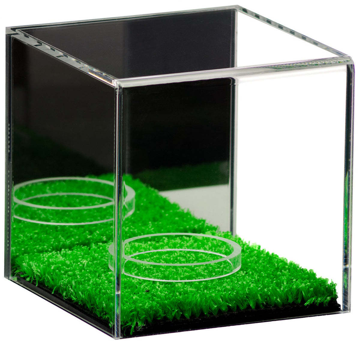 Acrylic Baseball Tennis Ball Display Case Trophy Stand Baseball Storage Box Container with Mirror Back