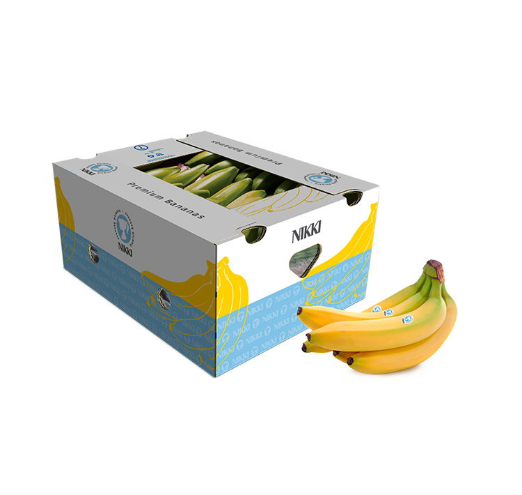 Custom printing corrugated carton box small fruit vegetable shipping carton box packing mango packaging box