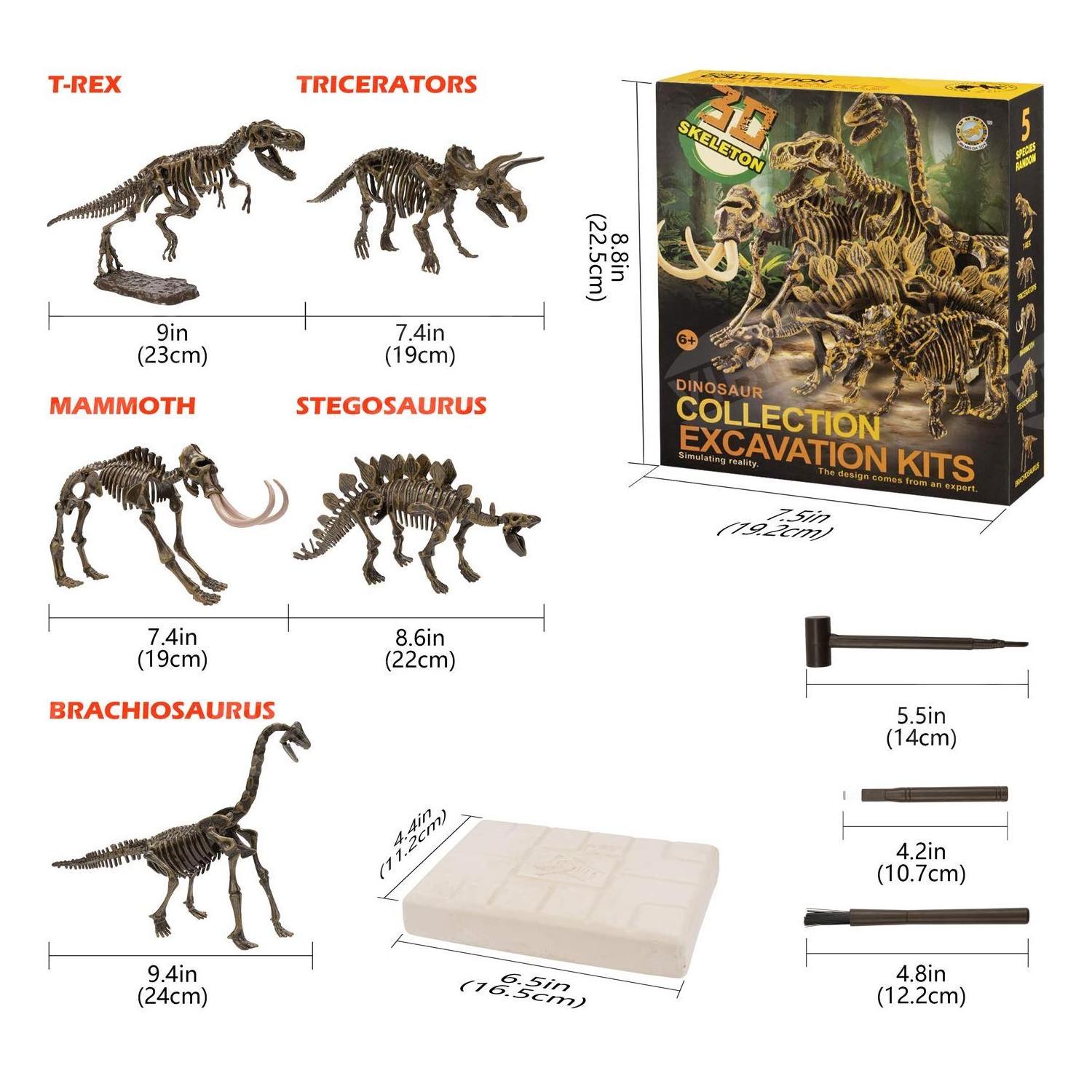 Dig Up Dinosaurs Skeleton Set,Dinosaur Digging Fossil Kit Model Toys Educational Realistic Toys for Kids,Boys,Girls