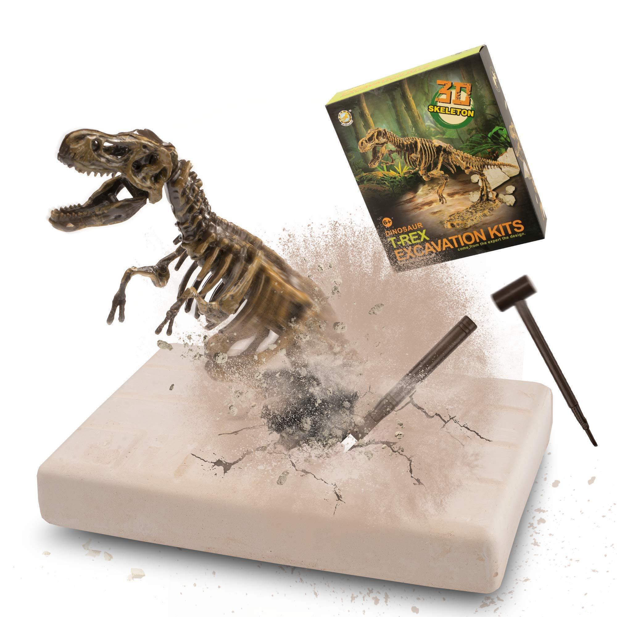 Dig Up Dinosaurs Skeleton Set,Dinosaur Digging Fossil Kit Model Toys Educational Realistic Toys for Kids,Boys,Girls