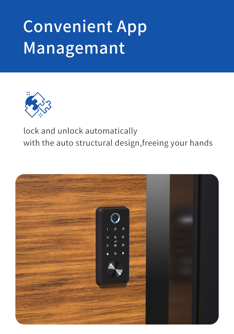 AUTO smart TTLOCK APP TUYA deadbolt lock set