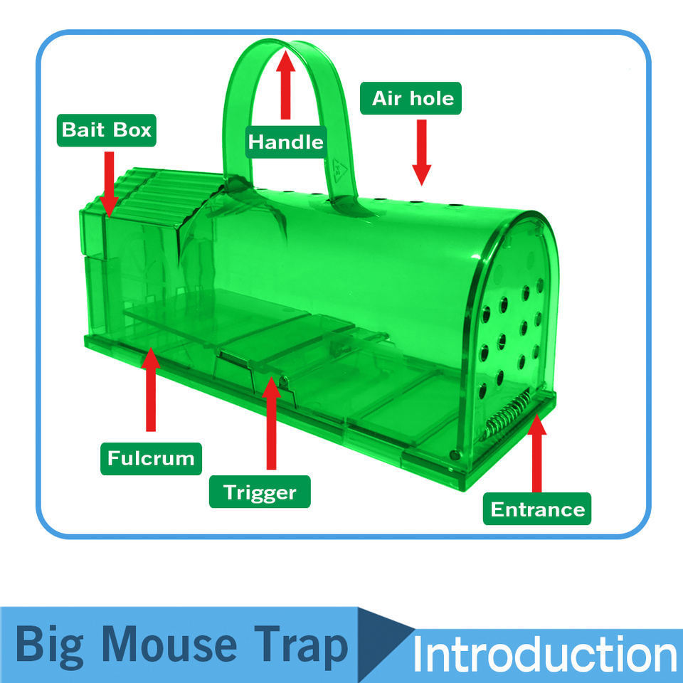 Wholesale high-quality cheap rat cages large rat traps plastic traps non killing mice humane traps