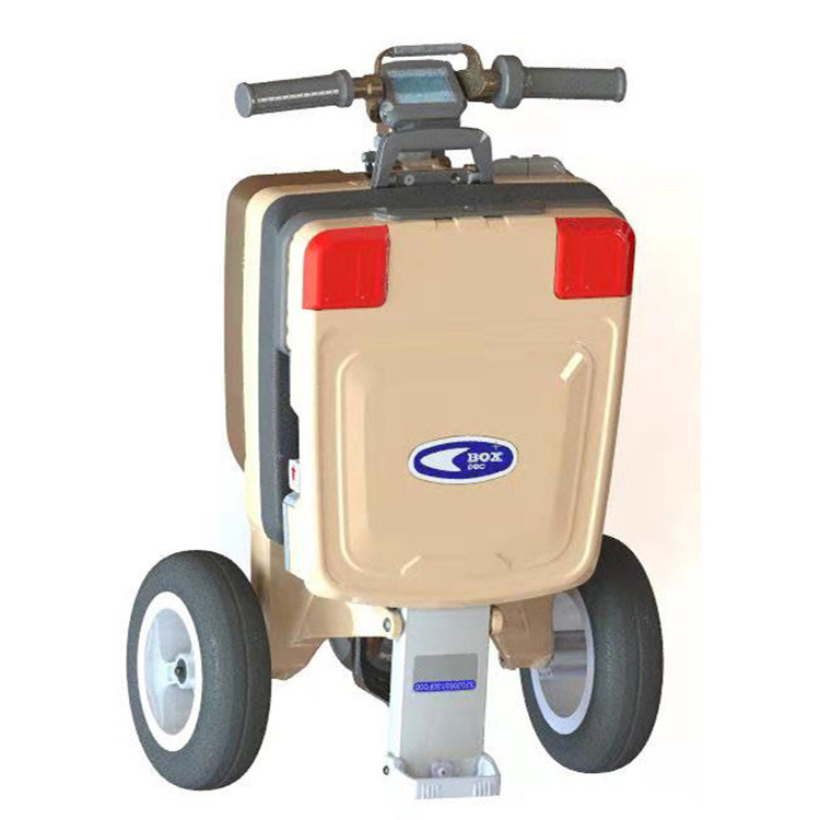 Adult Three Wheel Big Powerful Max Load Weight 120kg Electric Scooter With Detachable Battery