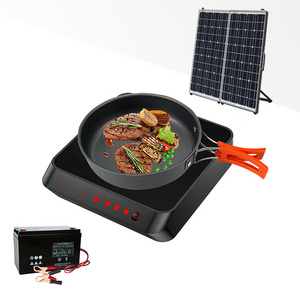 STW electric hot plate single hob motherboard circuit board 12v battery powered induction cooker