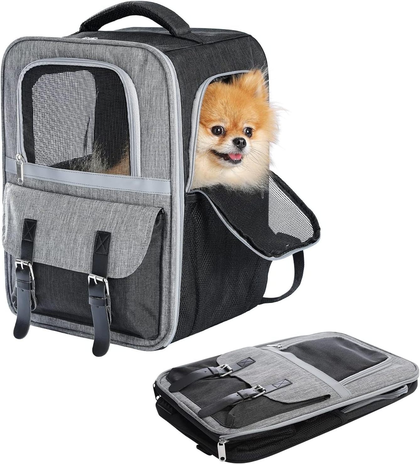 Dog Carrier Backpack for Puppy Cat Carrier and Dog Backpack with Dual Mesh Window Entrance