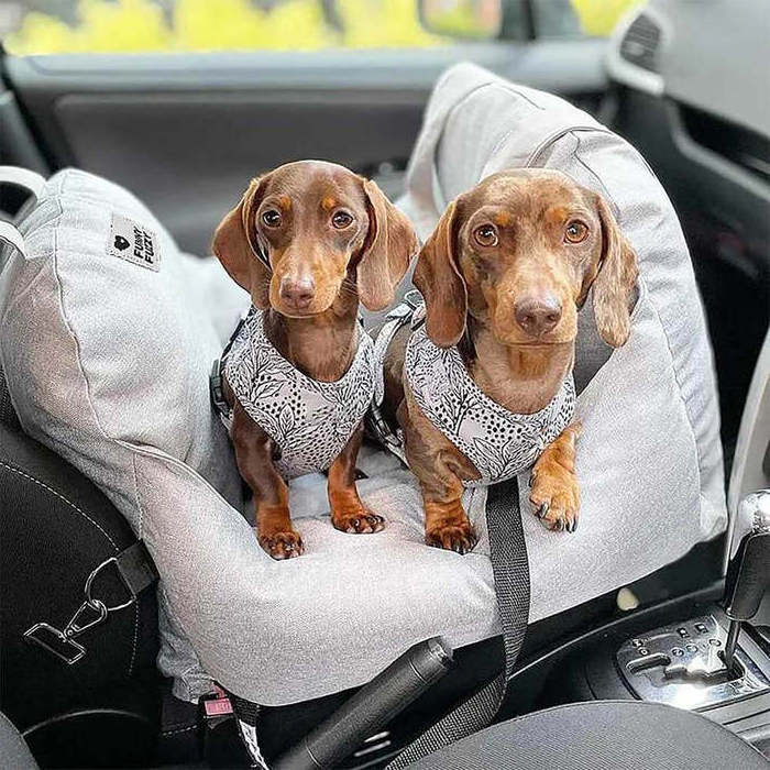 Premium Dog Car Seat Bed Travel Comfort and Safety Dog Car Seat Cushion Multi-Functional Dog Travel Bed