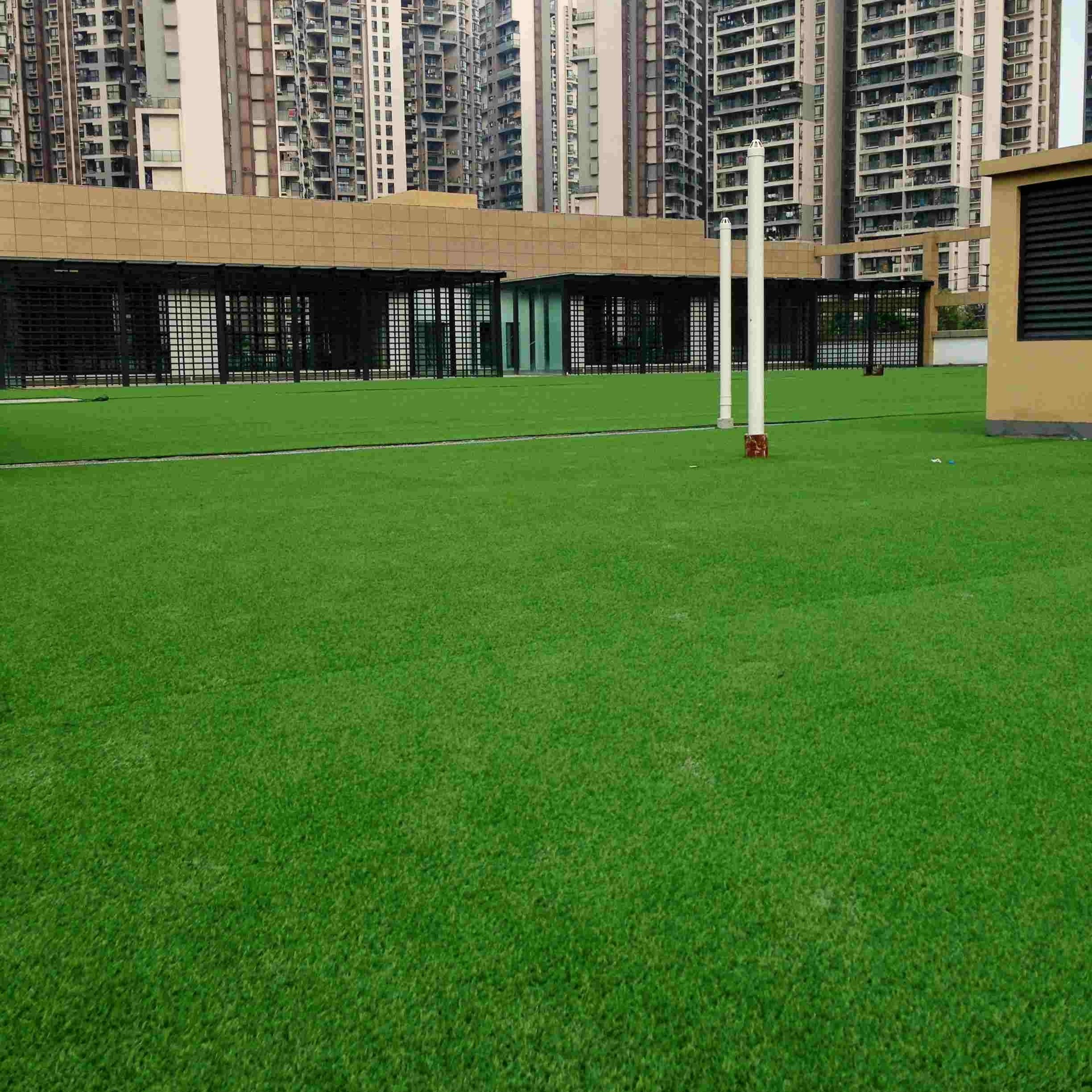 Tianlu Synthetic Product Plastic False Grass Artificial Grass Carpet Roll Simulation Delicate Landscaping Grass