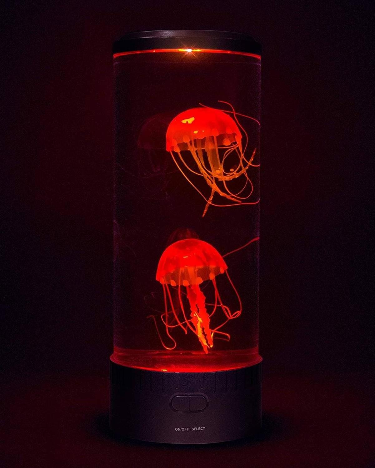 Jellyfish Lamp, Jelly fish Lamp