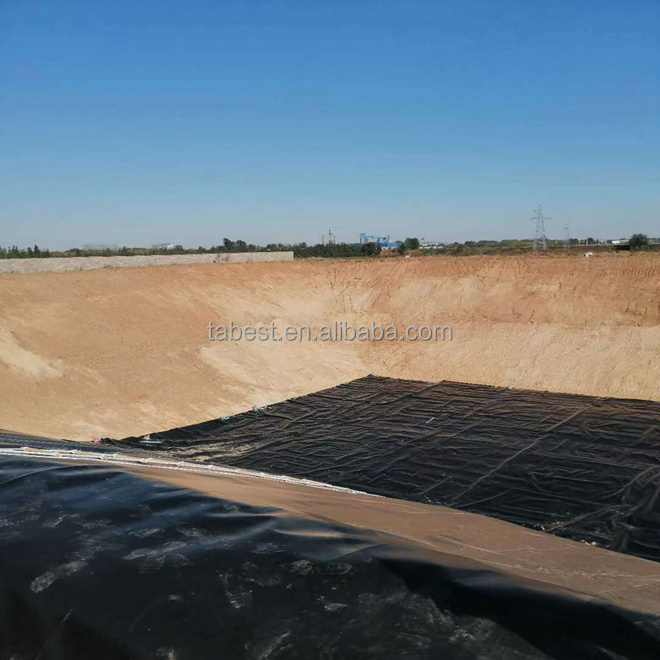 0.5mm 0.6mm 1.0mm HDPE Geomembrane black waterproofing pond liner