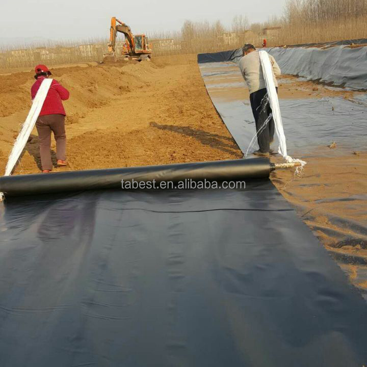 Smooth Hdpe geomembrane / 40 mils 60 mils Fish Farm Pond Liner geo membrane