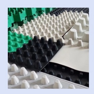 800g 1000g 2000g 3000g HDPE black  white green  Plastic Sheet panel Drainage board