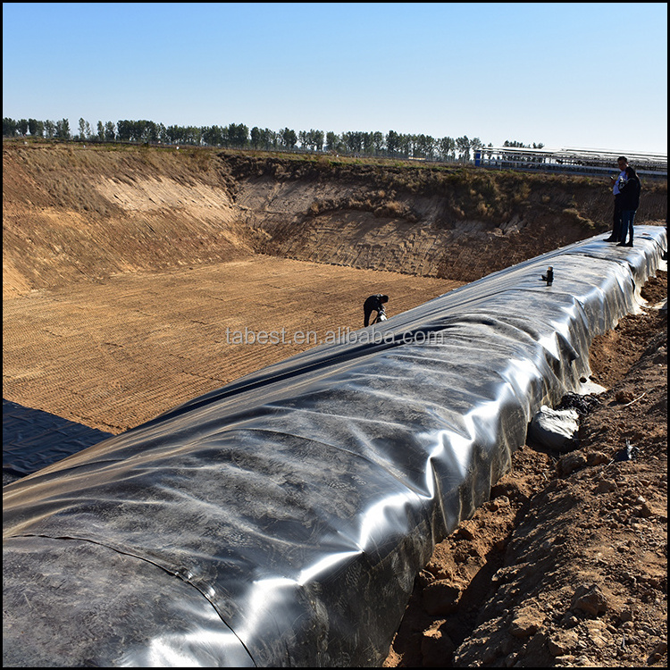 anti-seepage Dam Liner 2 layer hdpe geomembrane for Chemical Regulation Ponds