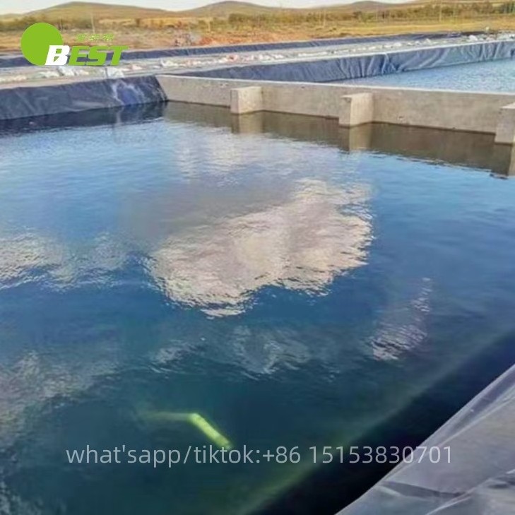 Waterproof 0.75mm 1mm 1.5mm 2mm Agricultural Fish Farm Shrimp  Pond dam liner Hdpe Geomembranes