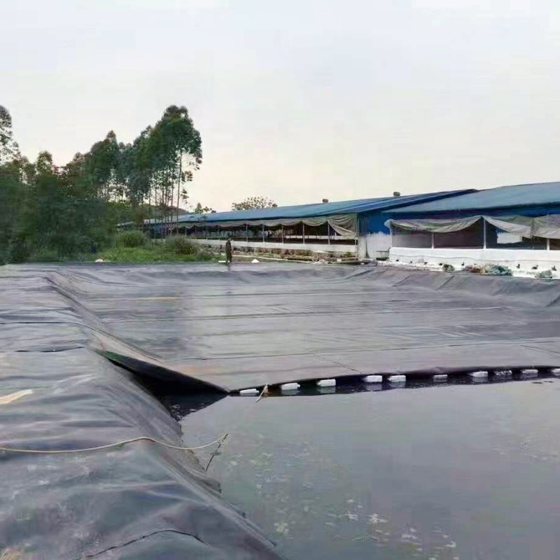 0.5mm 0.75mm 1.0 mm 2mm geomembrane HDPE liner for fish ponds shrimp pond liner