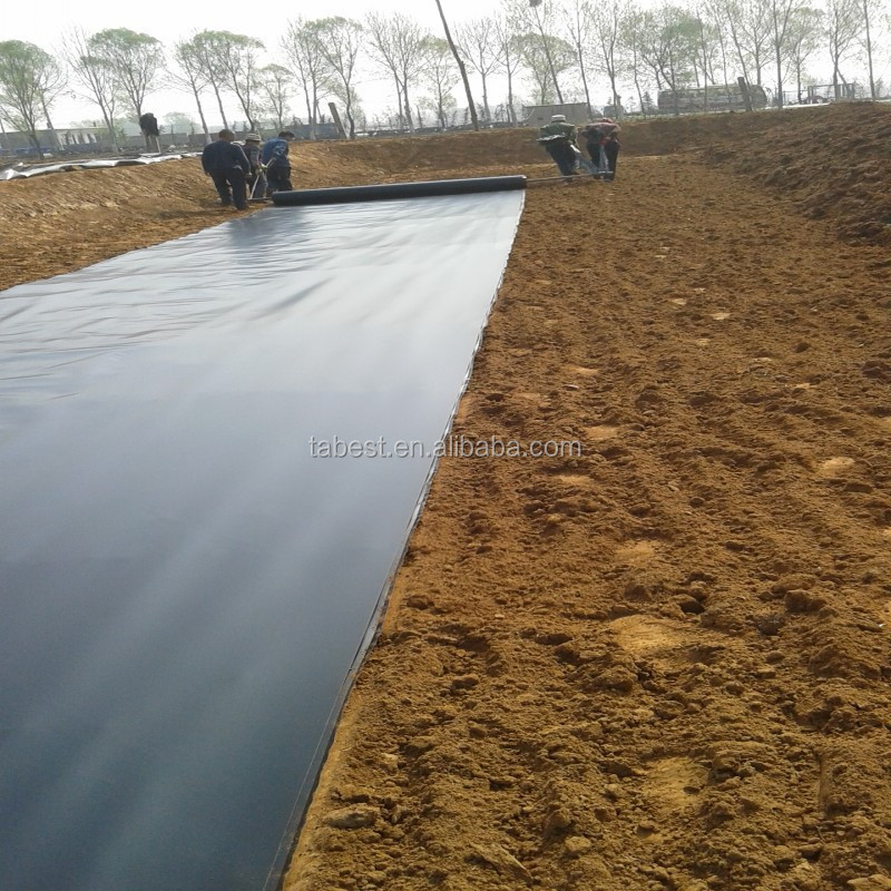 0.5mm 0.6mm 1.0mm HDPE Geomembrane black waterproofing pond liner