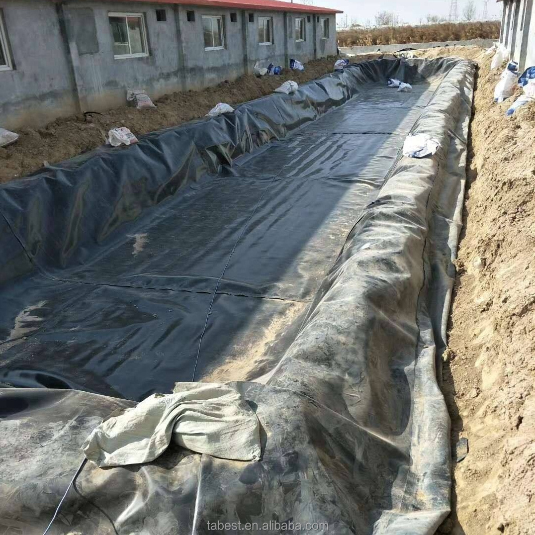 Hdpe Geomembrane Liner Plastic Geomembrane Sheet Fish Or Shrimp Breeding Geomembrane Liner