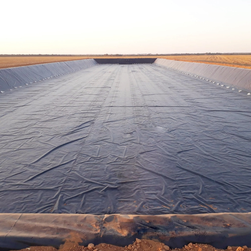 Impermeable 0.5mm 0.75mm 1.0mm geomembrane type and hdpe new material fish pond liner