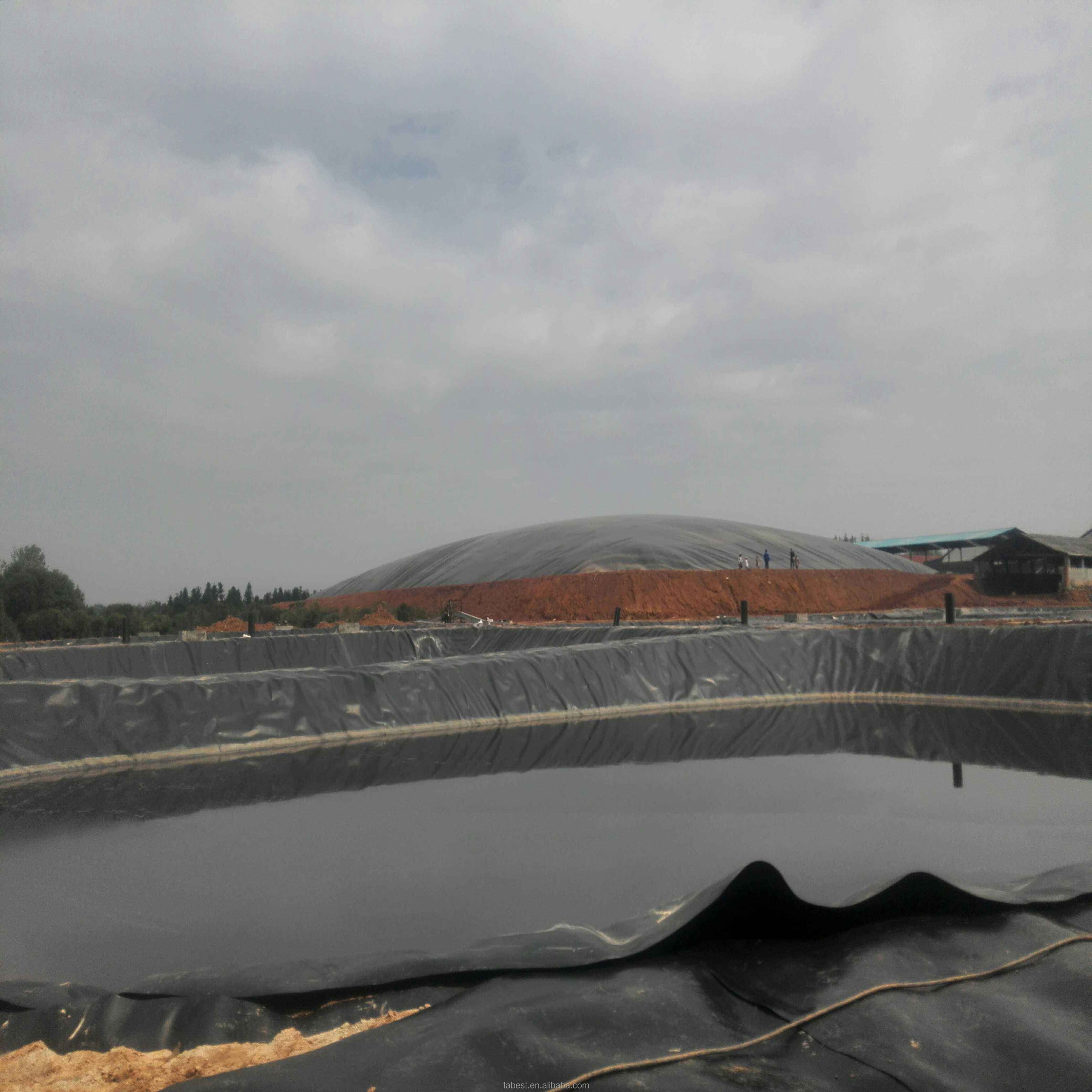 Smooth Hdpe geomembrane / 40 mils 60 mils Fish Farm Pond Liner geo membrane