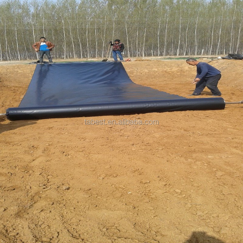 0.5mm 0.75mm 1mm HDPE Geomembrane Pond Liner For Fish Ponds / Mulch Film Price