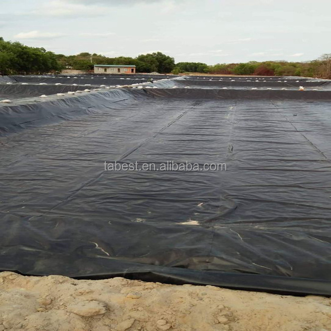 0.5mm 0.6mm 1.0mm HDPE Geomembrane black waterproofing pond liner