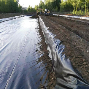 Smooth surface HDPE waterproof geomembrane for pond farming or artificial lake