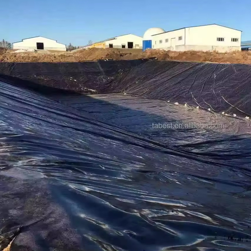 1mm Smooth HDPE Geomembrane/ HDPE liner for Pond/Dam/ Lagoon