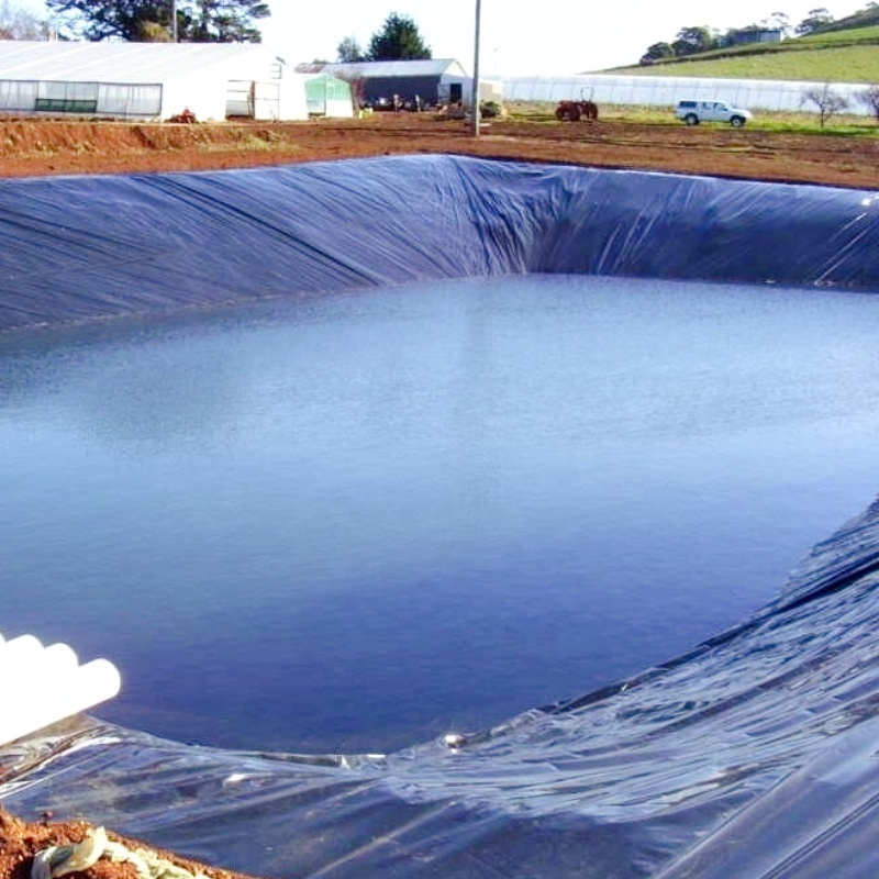 0.75mm pond liner 100% virgin hdpe geomembrane price for fish farm /shrimp farm