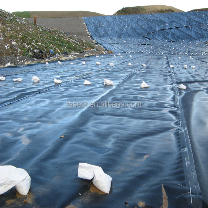 Fish Breeding Pond Liner / 0.5mm 0.75mm 1.0mm Hdpe geomembrane Price Fishing Farming Tank