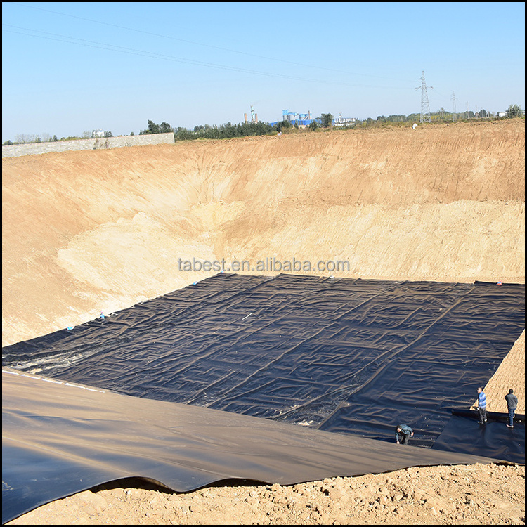 anti-seepage Dam Liner 2 layer hdpe geomembrane for Chemical Regulation Ponds