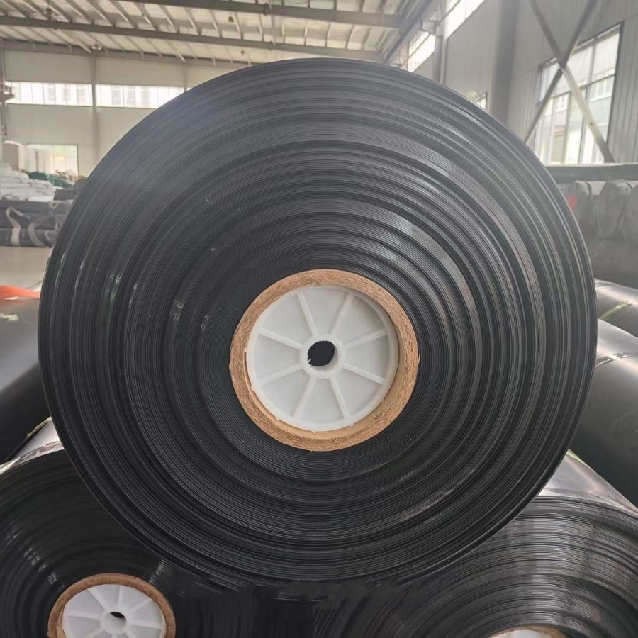 0.8mm 1mm 1.5mm  Fish pond anti-seepage material HDPE geomembrane liner