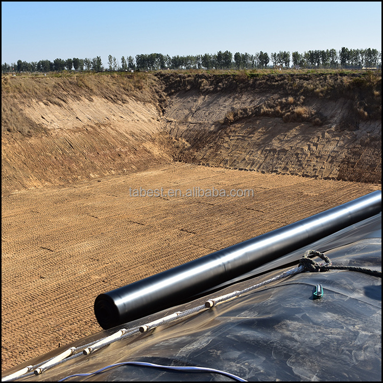 anti-seepage Dam Liner 2 layer hdpe geomembrane for Chemical Regulation Ponds