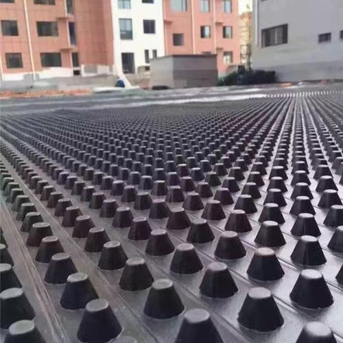 8mm 12mm 20mm 40mm hdpe Plastic Drainage Board