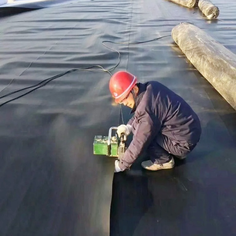 0.5mm 0.75mm 1.0 mm 2mm geomembrane HDPE liner for fish ponds shrimp pond liner