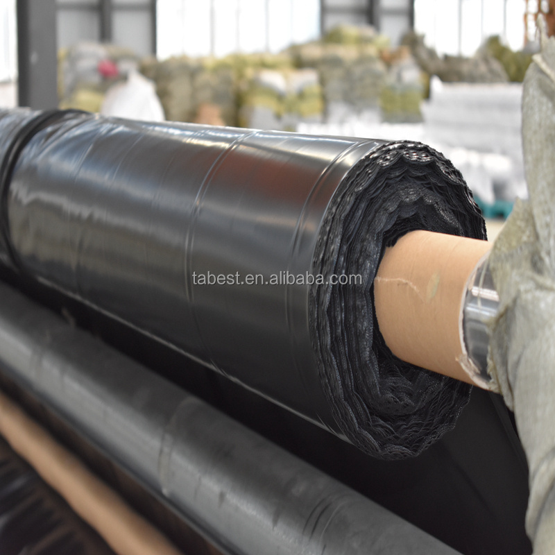 Hdpe Geomembrane 1.5mm Hdpe Pond Liners 1mm Root Barrier Geomembrane