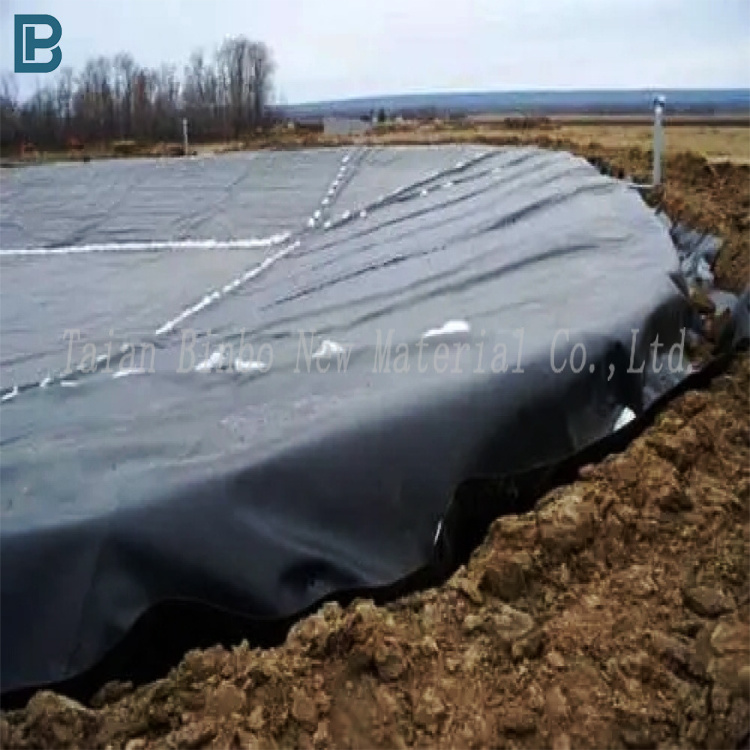 1.5mm 2mm Thick Black/Blue HDPE Plastic Geomembrane for Fish Farming Dam Water Tank Pond Liner