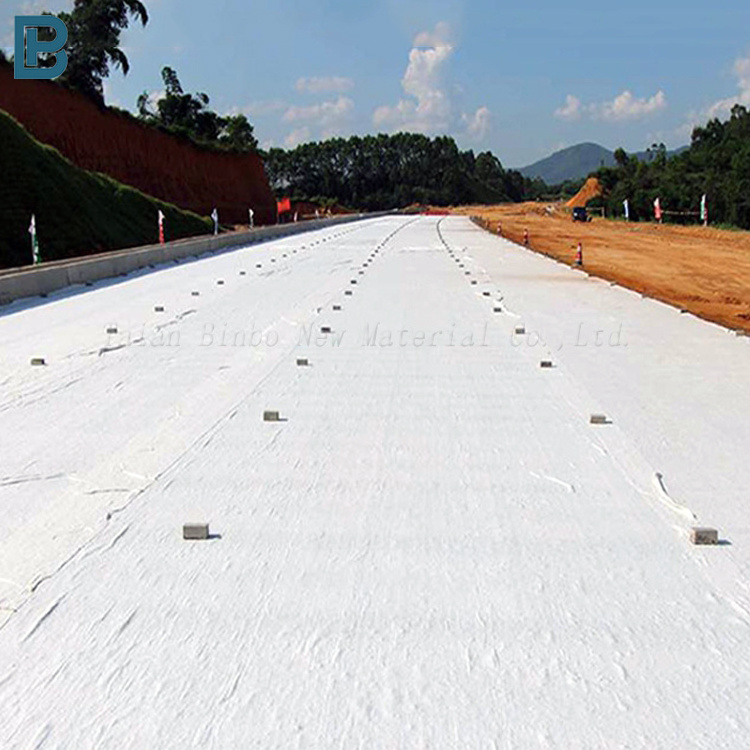 PP Non Woven Geotextile 500g Polyester Non Woven Fabric for retaining wall