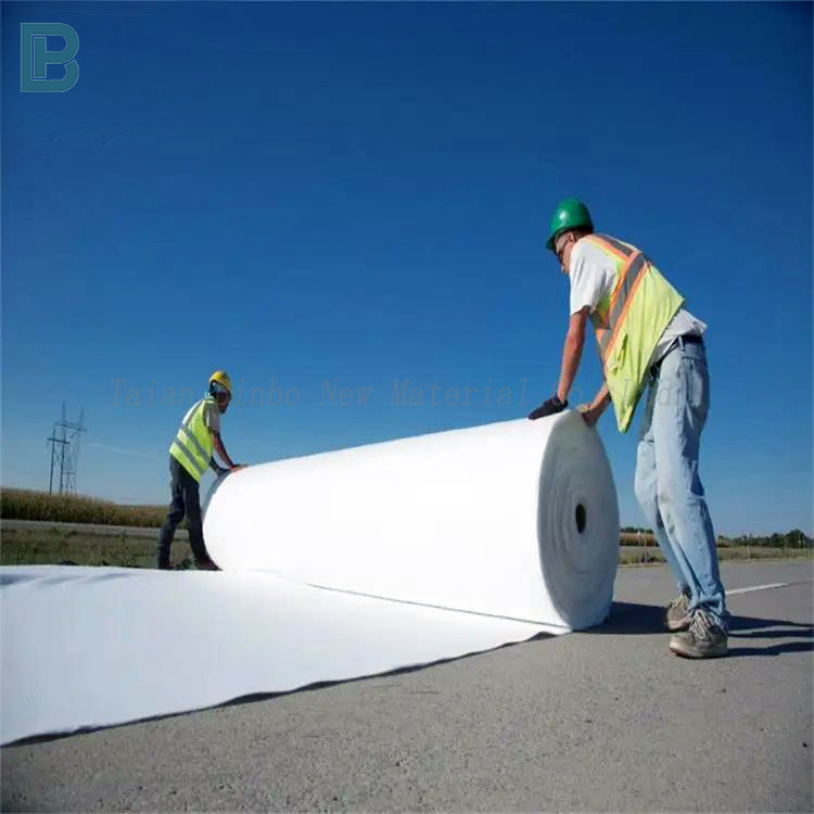 Earthwork products 700gsm Geotxtile nonwoven fabric rolls geotextile dam project and retaining wall