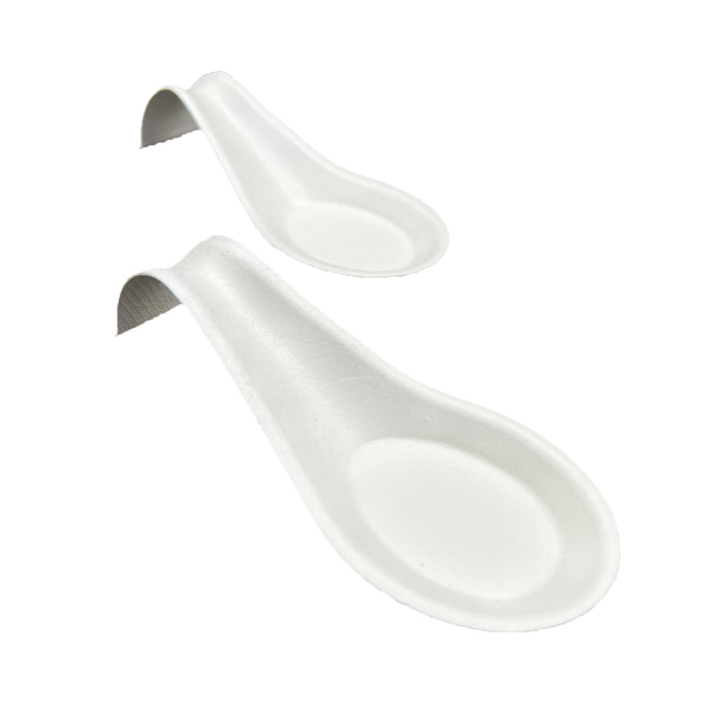 Biodegradable Fingerfood Sugarcane paper Bagasse small Mini disposable ice cream spoon Tasting Dish appetizer spoon