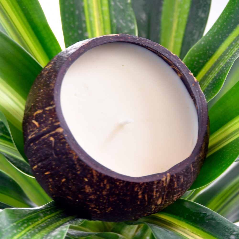 Wholesale Unique Coconut Shell Scented Aroma Candles