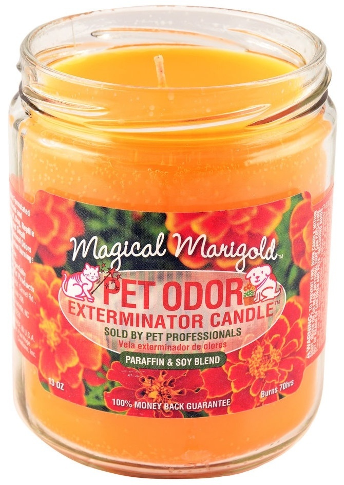 Loved Pet Eco-Friendly Orange Lemon Splash Smoke Pet Odor Exterminator Candle 13 oz from Tabo factory