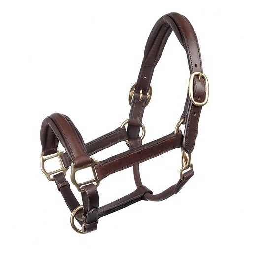 Wholesale Equestrian Best Quality Soft Padded Custom Leather Horse Riding Halter OEM Manufacturer & Exporter