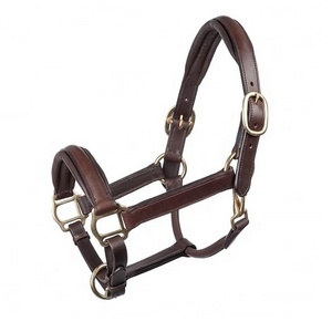 Wholesale Equestrian Best Quality Soft Padded Custom Leather Horse Riding Halter OEM Manufacturer & Exporter