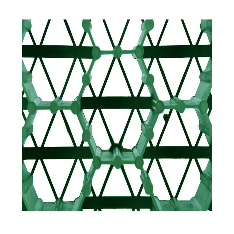 Porous plastic grass paver /plastic paving grid