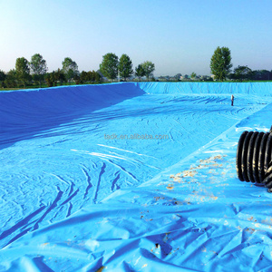 0.5mm hdpe geomembrane Factory direct HDPE geomembrane liner for ponds waterproofing blue black color