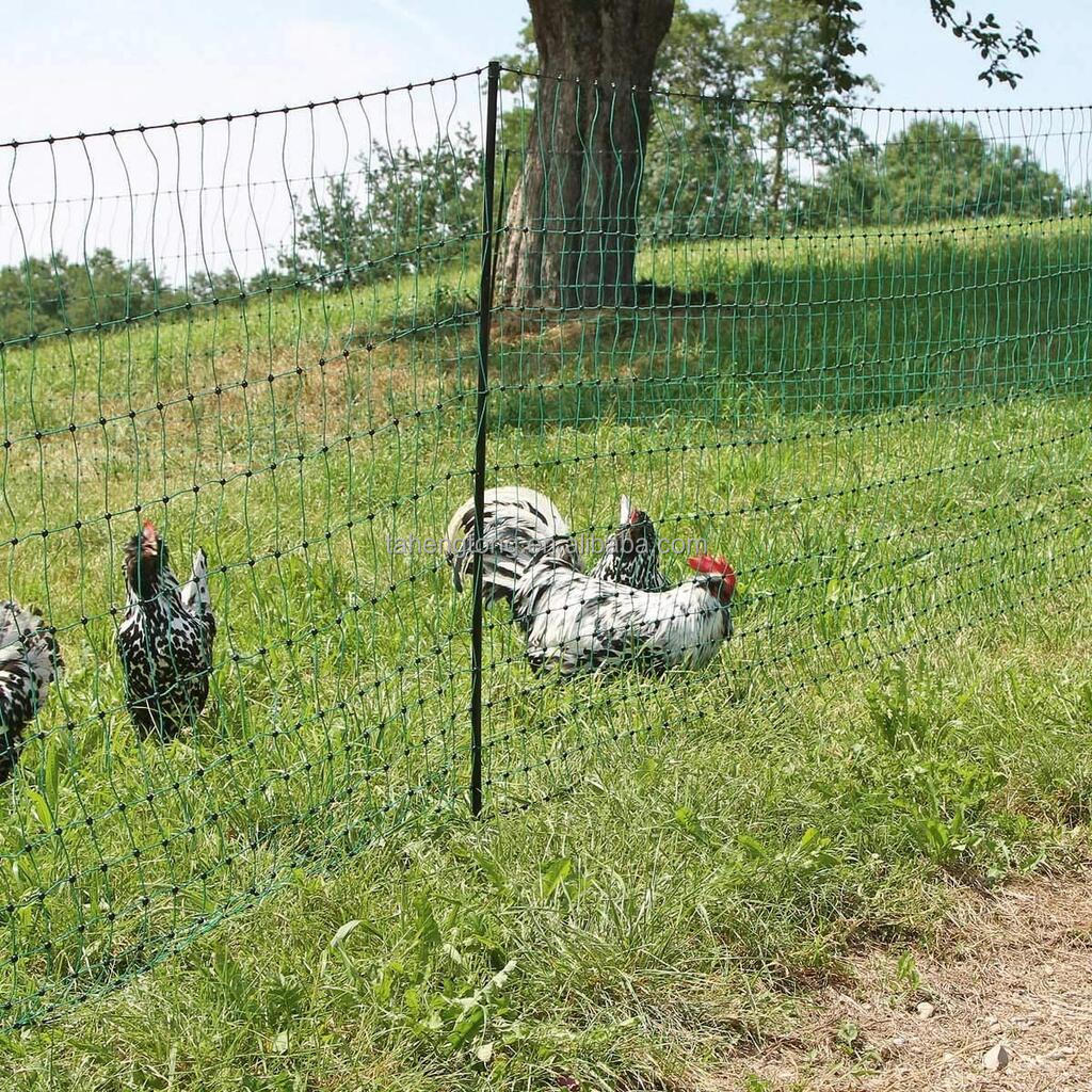 electric netting keep chickens safe from predators as rabbit and wild boar