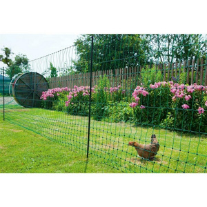 electric netting keep chickens safe from predators as rabbit and wild boar